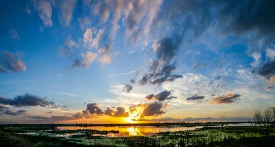 Apopka neighborhood