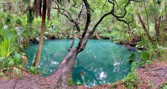 Deltona neighborhood