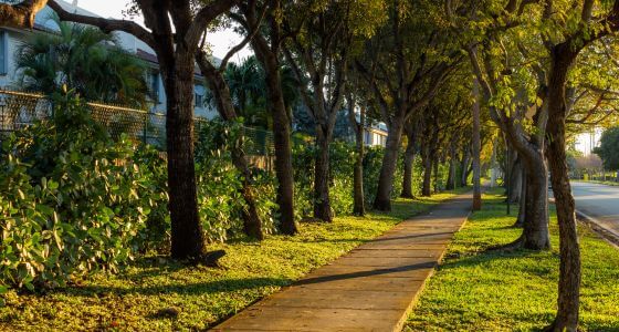 Doral neighborhood