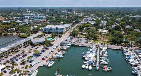 Dunedin neighborhood