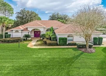 Image of Palm Harbor Neighborhood