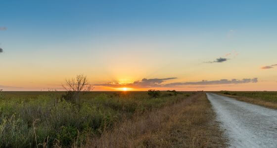 Tamarac neighborhood