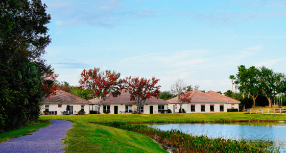 Wesley Chapel neighborhood