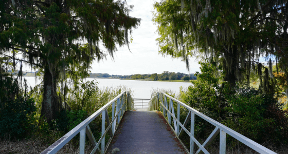 Wesley Chapel neighborhood