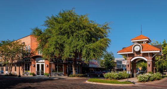 Winter Garden neighborhood