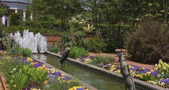 Belmont neighborhood