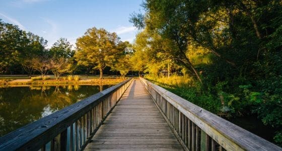 Davidson neighborhood