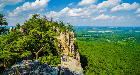 Gastonia neighborhood