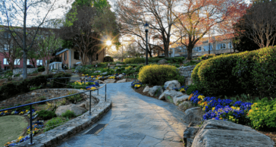 Greenville neighborhood