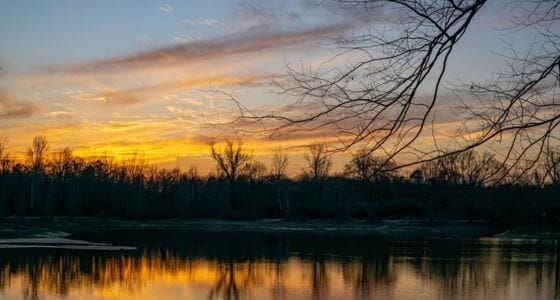 Kinston neighborhood