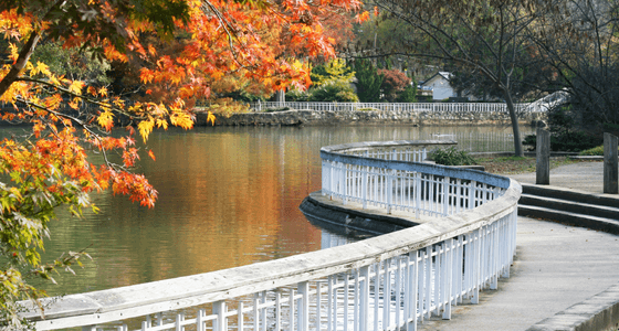 Raleigh neighborhood