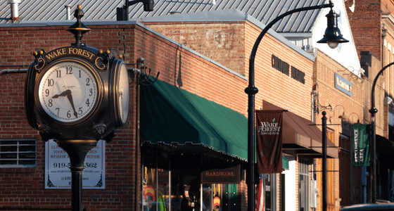 Wake Forest neighborhood