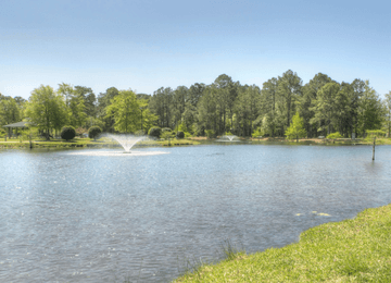 Image of Ogden Neighborhood