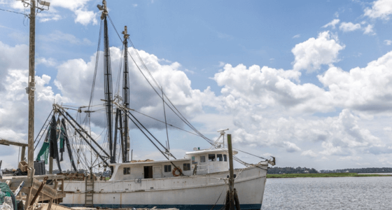 Bluffton neighborhood