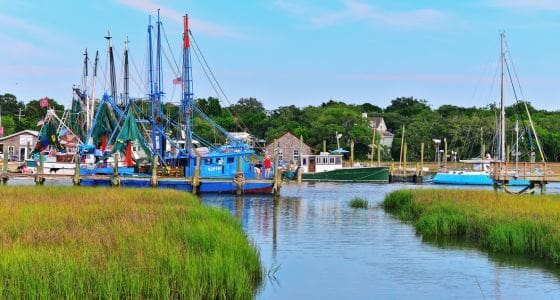 Mount Pleasant neighborhood