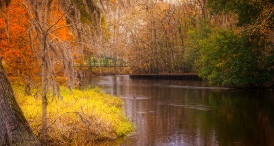 Orangeburg neighborhood