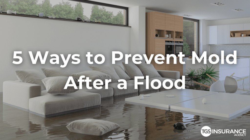 How to Prevent Mold After Water Damage (The Complete Guide)