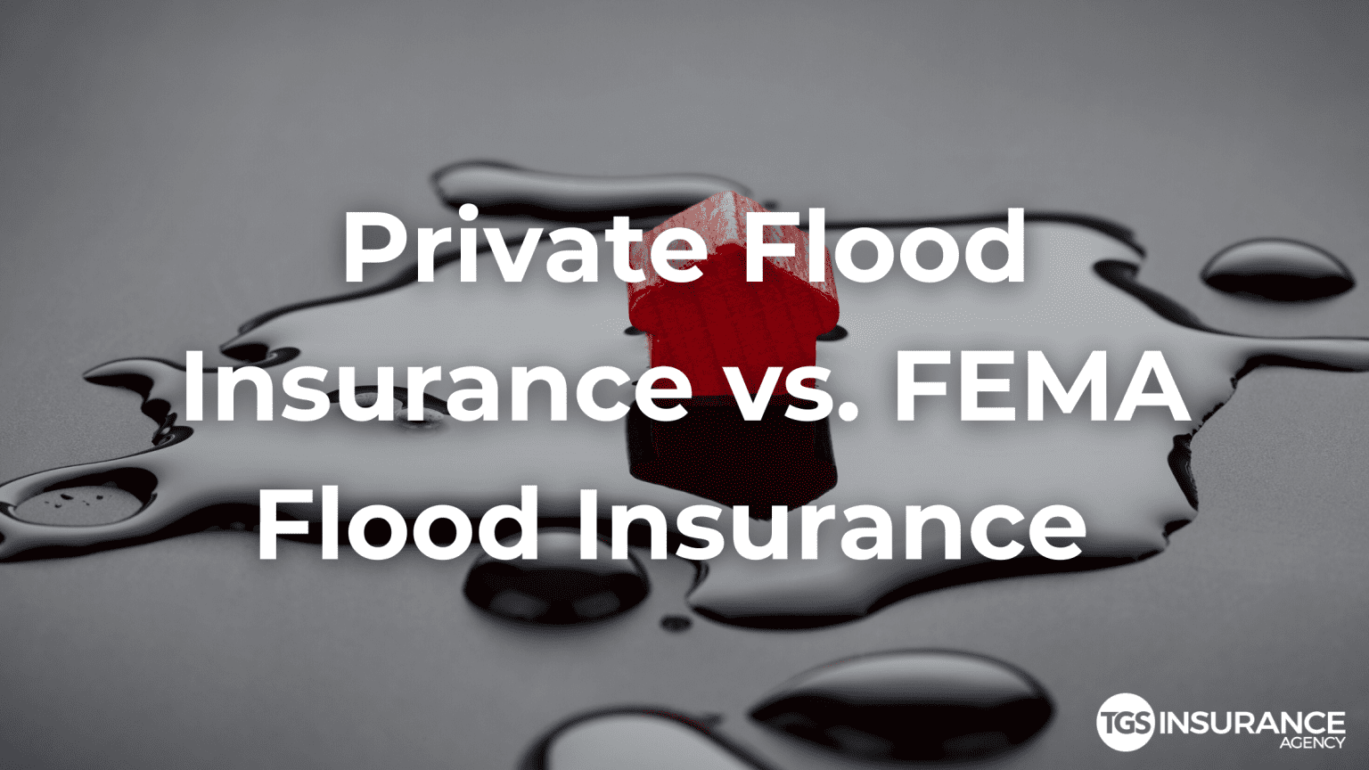 Private Flood Insurance vs FEMA Flood Insurance TGS Insurance