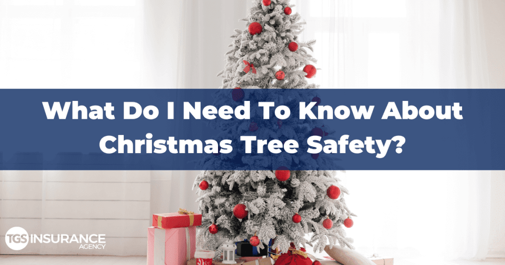 While Christmas trees are festive, they also bring their own set of complications. Let's look at important elements of Christmas tree safety.
