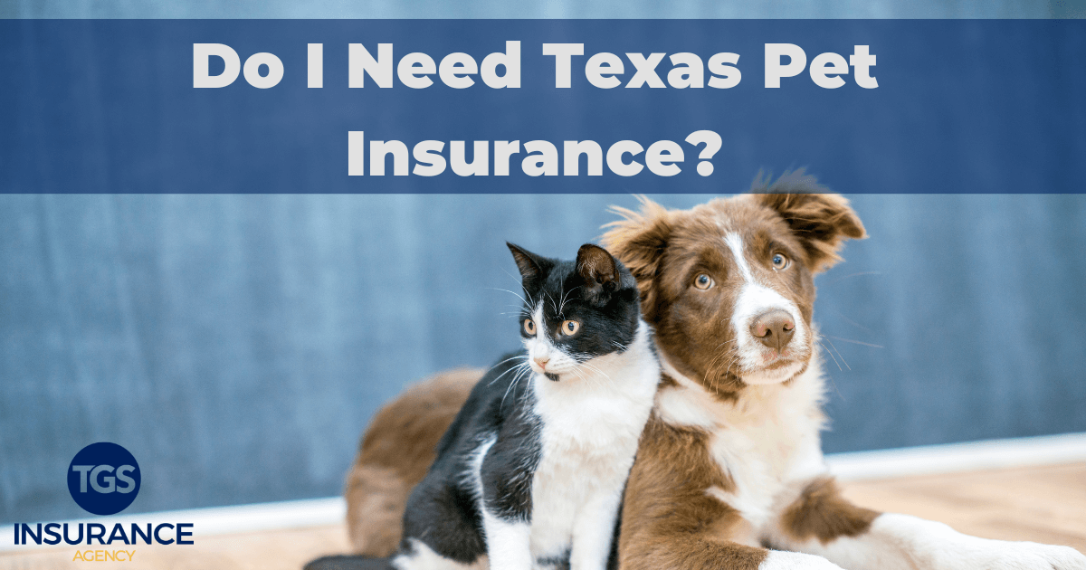 Do I Need Texas Pet Insurance? | TGS Insurance Agency