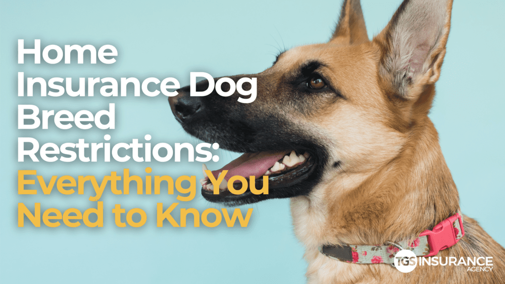 insurance aggressive dog list