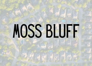 Image of Moss Bluff  Neighborhood