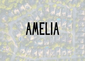 Image of Amelia Neighborhood