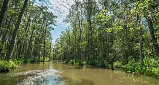 Slidell neighborhood