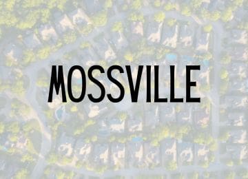 Image of Mossville Neighborhood