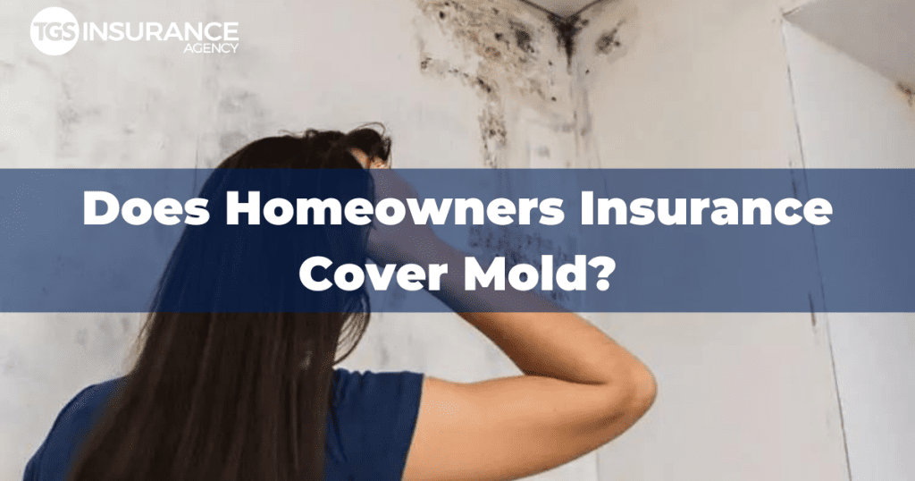 Mold is more than an inconvenience, it's bad for your health and home. Find out if homeowners insurance covers mold and learn tips on how to avoid an outbreak.