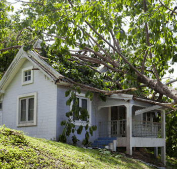 Windstorm